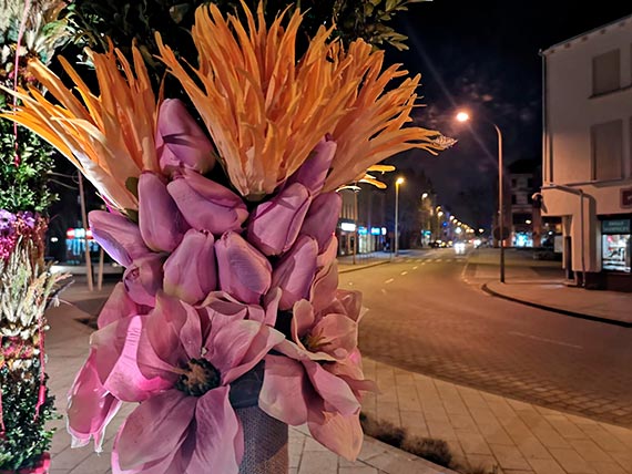 Palmowy zawrt gowy na Placu Wolnoci